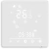 Matter Smart Thermostat for Electric Heating,Programmable,Energy Saving,APP and Voice & Remote Control, Works with Homekit,Alexa,16A