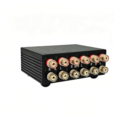 2-Way Audio AMP Amplifier Speaker Selector Switch switcher Box 2 in 1 Out