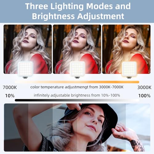 Zeadio Video Handheld Stabilizer, All-in-One Camera Handle Grip Rig Kit with Dimmable LED Video Light, Microphone, Phone Holder, Action Camera Adapter for Filmmaking Vlogging YouTube TikTok etc