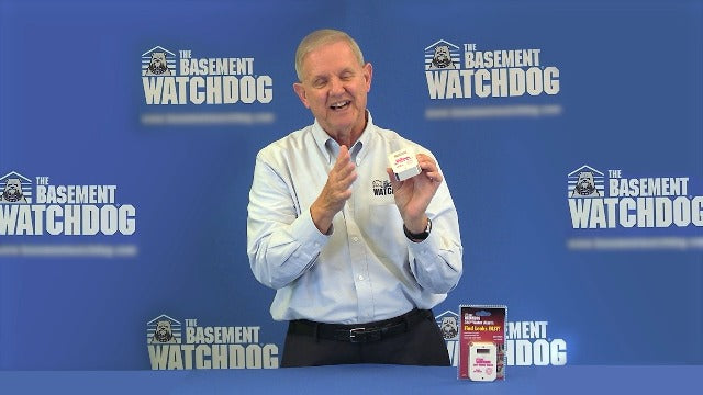 The Basement Watchdog Compact 110 dB Water Alarm w/360° Sensing Technology (BW-WA360)