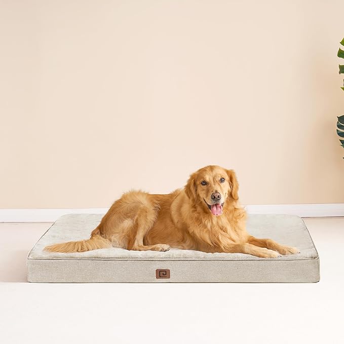 EHEYCIGA Memory Foam Dog Bed Orthopedic 41"x27",Waterproof Pet Bed for XLarged Dogs ,Washable Pet Mat with Removable Cover, Beige