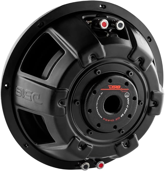 DS18 PSW10.2D 10" Shallow Mount Subwoofer 1000 Watts Max Power 500 Watts RMS Dual Voice Coil 2+2 OHMS Water Resistant - Best Sub for Tight Spaces in Car & Trucks - 1 Speaker
