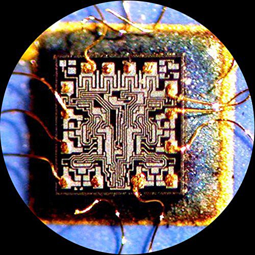 AmScope SM-6TX Trinocular Stereo Zoom Microscope, 3.5X-45X Magnification