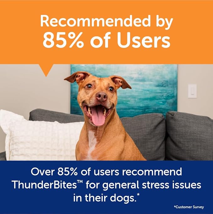 ThunderWunders Hemp Dog Calming Chews | Vet Recommended for Situational Anxiety | Fireworks, Thunderstorms, Travel & More | Made with Hemp Seed, Thiamine, L-Tryptophan, Melatonin & Ginger (60 Count)