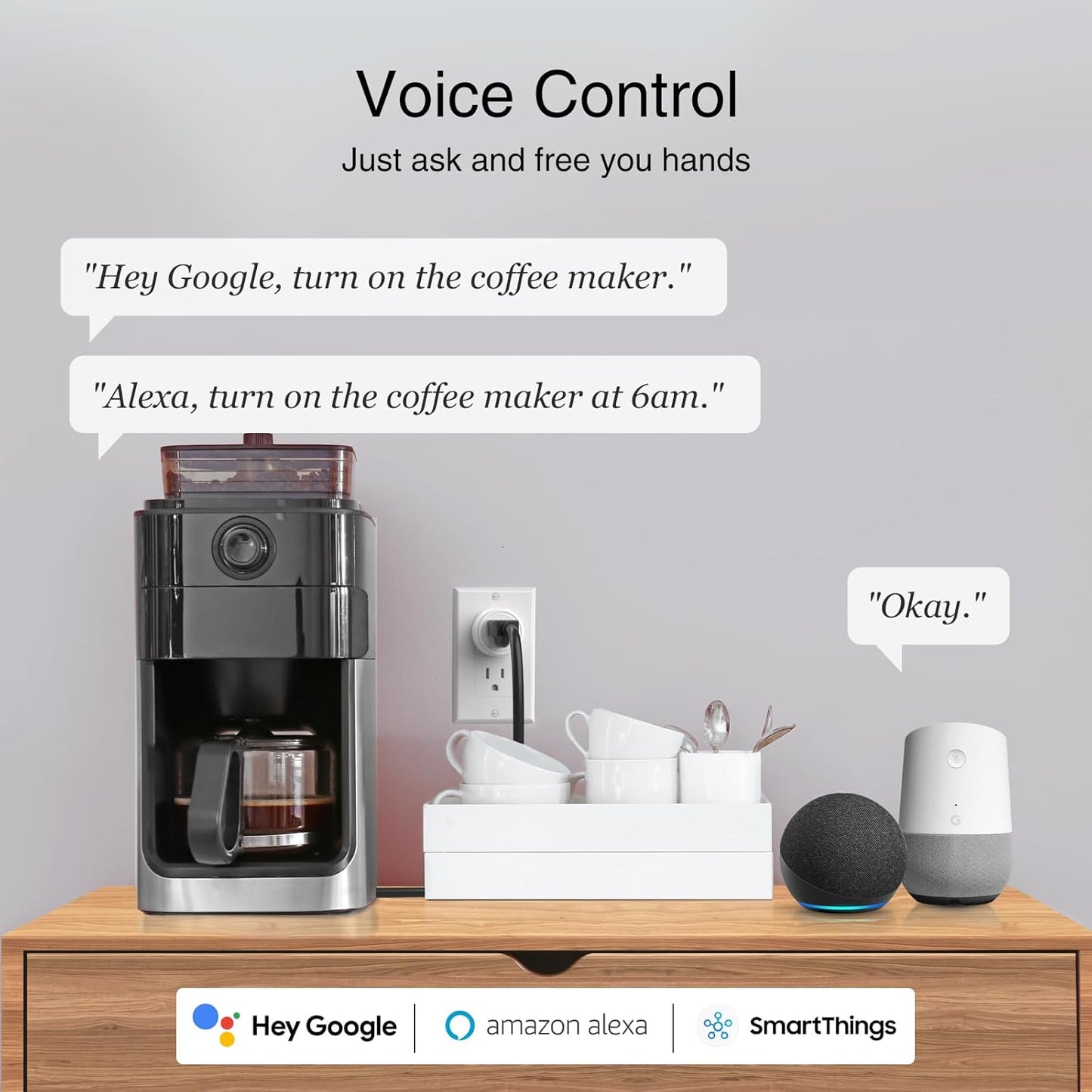WiFi Smart Plug Works with Alexa and Google Home App Remote Control Timer 2.4GHz No Hub Required