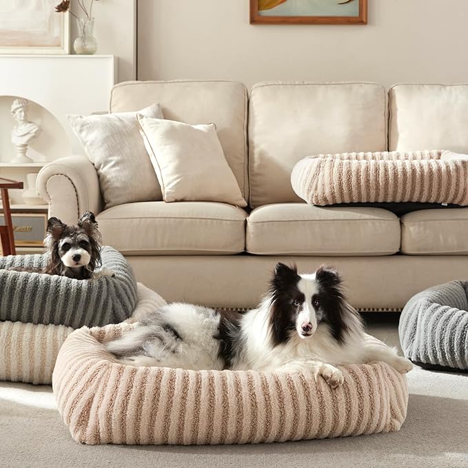 MIXJOY Dog Beds for Small Dogs Cats, Soft Cat Bed for Indoor Cats, Rectangle Pet Bed for Puppy Kitty, Washable Dog Bed with Removable Cover, Anti Slip Bottom, 20"x19"x6", Beige