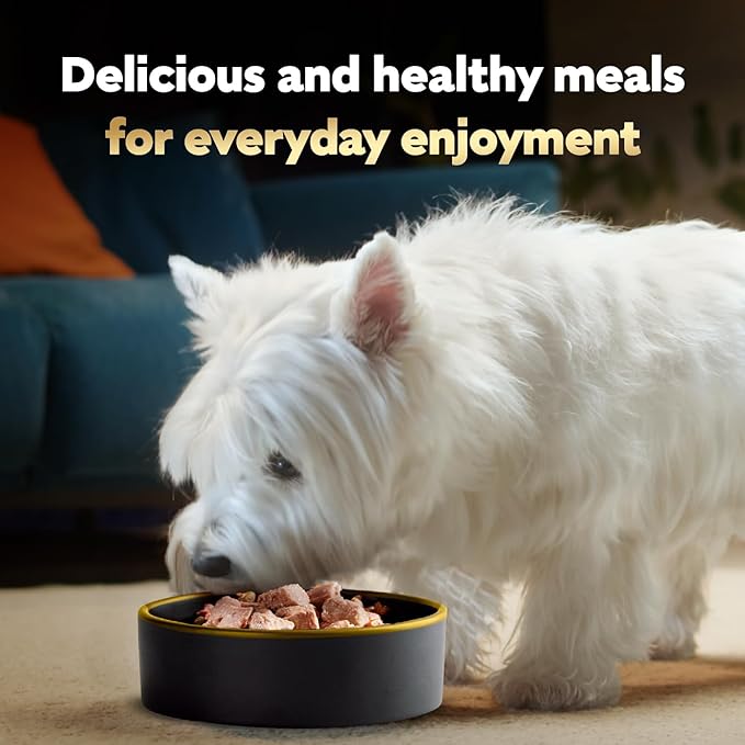 Cesar Adult Wet Dog Food Steak Lovers Variety Pack with Real Meat, 3.5 oz. Easy Peel Trays, 24 Count