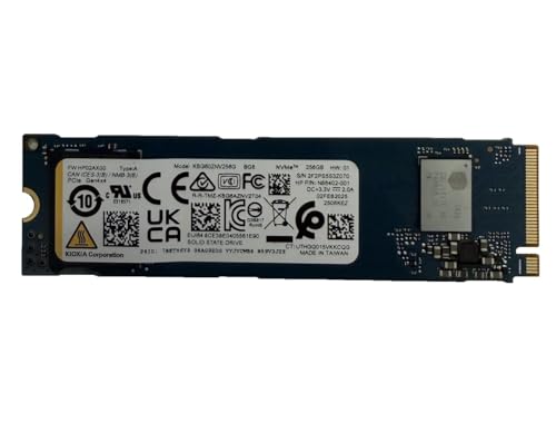 KIOXIA SSD 256GB BG6 NVMe PCIe Gen4 x4 M.2 2280 KBG60ZNV256G Solid State Drive