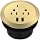TOPGREENER GaN Desk Grommet with 65W PD for MacBook, Desktop Power Grommet with 1 Fast Charging USB-C Port, 2 USB-A Ports and Duplex Receptacles, TTRP48APD60-GD, Gold