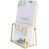 Feyarl Gold Glass Brochure Holders for 4x9 Pamphlets Holder Flyer Trifold Holder Display Stand for Office Brochures Booklets Menu Literatures Journals