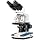 AmScope B120 Series Student & Professional LED Binocular Compound Microscope 40X-2500X Magnification with 5MP Digital Camera, 3D Stage and Interactive Software Kit