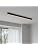 Black ceiling light LED, used for living room, bedroom, hallway, kitchen,