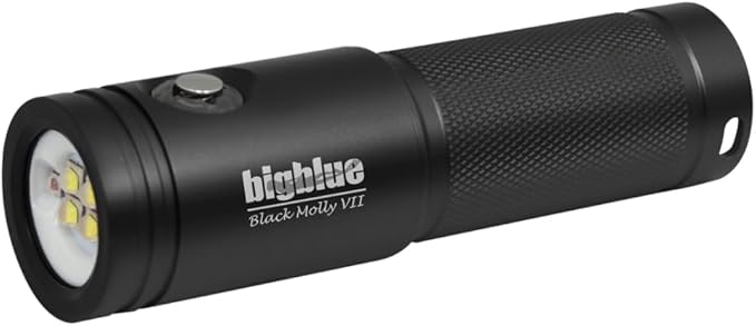 Bigblue AL 2900 Lumen Extra-Wide Video Light