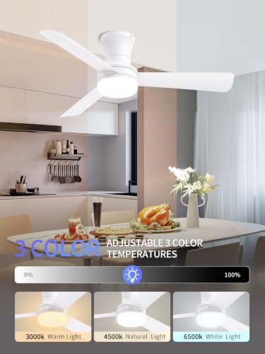 LANMEL 42 Inch White Low Profile Ceiling Fan with Light and Remote