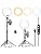 Kaiess 10.2" Selfie Ring Light with 65" Adjustable Tripod Stand & Phone Holder for Live Stream/Makeup, Upgraded Dimmable LED Ringlight for Tiktok/YouTube/Zoom Meeting/Photography