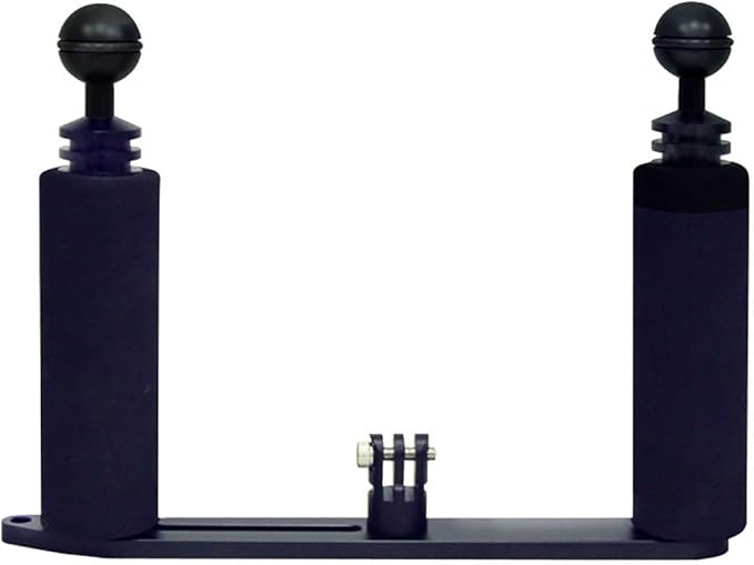 Bigblue Housing for 1-2 Lights Tray 1" Ball Jnt Black (FBA_BBGPTRAY)