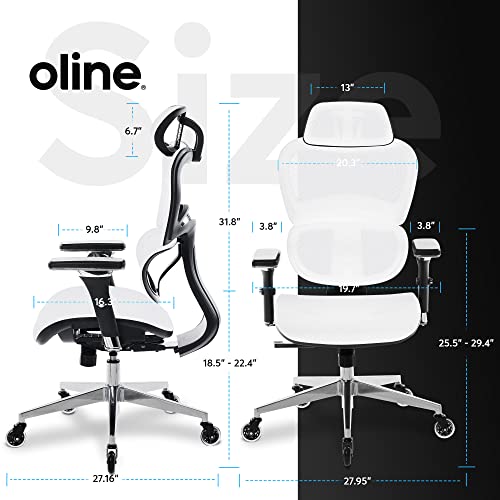 Oline ErgoPro Ergonomic Office Chair with 4D Adjustable Armrest, 3D Lumbar Support and Blade Wheels - Mesh Computer Gaming Rolling Desk Executive Swivel Home Chair (White) - Image 4