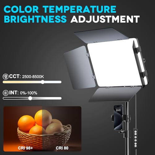 2 Pack LED Video Light Kit 79'' Tripod Light Stand, 30W 3000Lux Photography Light with Barndoor, CRI 98+ 2500K-8500K Studio Lights Panel Podcast Lighting for Video Recording/Game Live Streaming