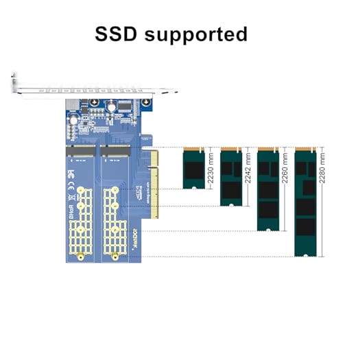 10Gtek Dual M.2 NVMe SSD Adapter Card - PCIe 3.0 x8 Slot (M-Key), Supports 2X NVMe Drives via Bifurcation | Requires BIOS Split Support | High-Speed Storage Expansion for Desktop PCs