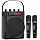 ZOWEETEK 60W Voice Amplifier with 2 Wireless Microphones