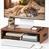 BONTEC Monitor Stand Riser with Cellphone Holder & Cable Management