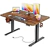 Huuger 47 X 24 Inch Electric Standing Desk with Power Outlets and USB-C Port, Height Adjustable Desk, Sit Stand Desk for Home Office, Computer & Gaming Desk, Stable Steel Frame, Rustic Brown