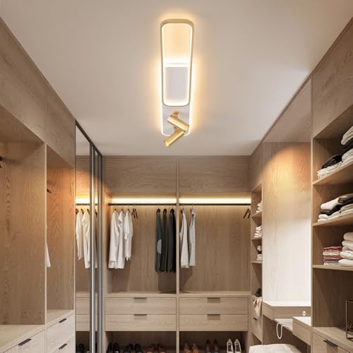 EIDISUNY Modern LED Ceiling Light Remote Control, 39.3in Linear Ceiling Light with 2 Adjustable Spotlights 65W, Dimmable 3CCT, Gold Long Ceiling Light Fixture for Bedroom Kitchen Living Room