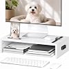 BONTEC Monitor Stand Riser with Cellphone Holder & Cable Management