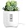 iHome PowerPlant Charging Station, Faux Succulent with USB Charging Station for iPhone, Android, and More – White (iPP45)