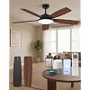 Roomratv Smart Ceiling Fan Compatible with App/Alexa/Google home,Black