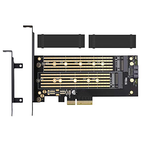 Dual M.2 PCIE Adapter for SATA or PCIE NVMe SSD with Heat Sink Solution