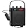 30W Wireless Voice Amplifier with Headset Microphone