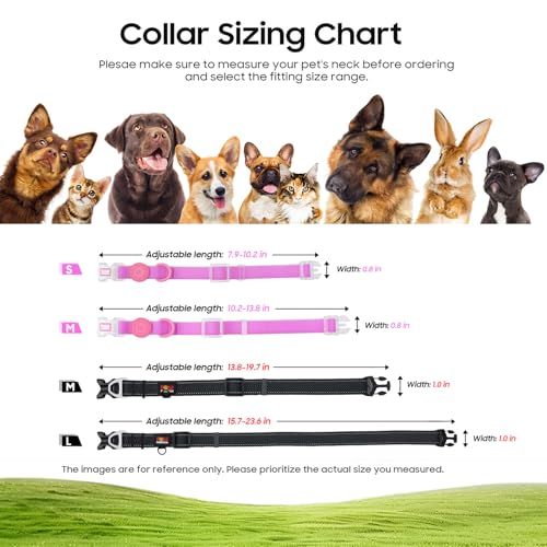 4K UHD Dog& Cat Pet Camera Collar, Video Recorder with Phone App View, Outdoor & Indoor POV Action Cam for Small and Medium-Size Dogs(White - Pink Waterproof Collar - M, 64g)