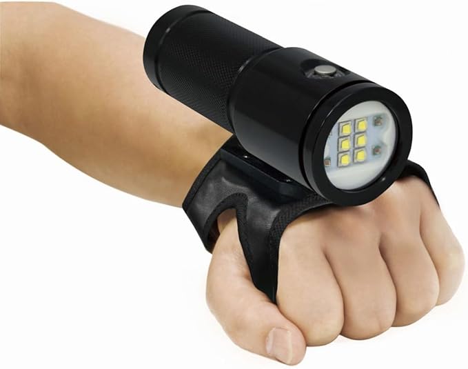 Bigblue 4600-Lumen Video Light