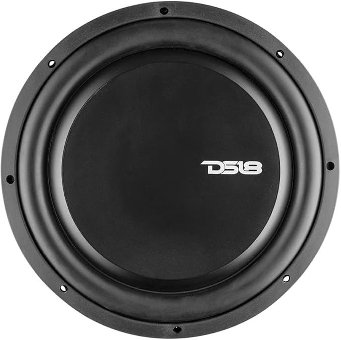DS18 PSW12.2D 12" Shallow Mount Subwoofer 1200 Watts Max Power 600 Watts RMS Dual Voice Coil 2+2 OHMS Water Resistant - Best Sub for Tight Spaces in Car & Trucks - 1 Speaker