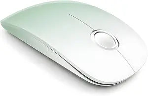 RAPIQUE Wireless Mouse,Dual Bluetooth+2.4Ghz,Type C Charging,Green Gradient