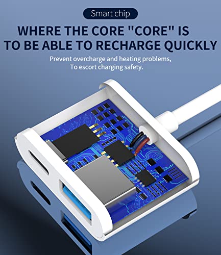 Otg Adapter Lightning Male to Usb Female and Charger Cable for Iphone 13 11 12 Mini Max Pro Xs Xr X 7 8plus Ipad Air A Camera Memory Connector Stick Flash Drive Cord Cable Converter Charging Splitter