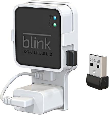 256GB USB Flash Drive with Outlet Wall Mount for Blink Sync Module 2, 1Pack