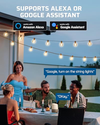 DEWENWILS Smart Dimmer Plug with Remote for Patio Lights, 2.4GHz Only