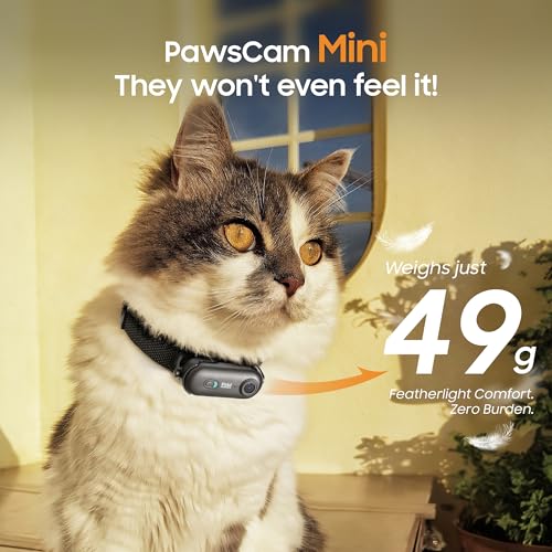 4K UHD Dog& Cat Pet Camera Collar, Video Recorder with Phone App View, Outdoor & Indoor POV Action Cam for Small and Medium-Size Dogs(White - Pink Waterproof Collar - M, 64g)