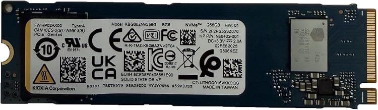 KIOXIA SSD 256GB BG6 NVMe PCIe Gen4 x4 M.2 2280 KBG60ZNV256G Solid State Drive