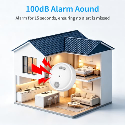 4 Pack Water Leak Detector, 100dB Loud Alarm, Dual Probe Sensor, IP66
