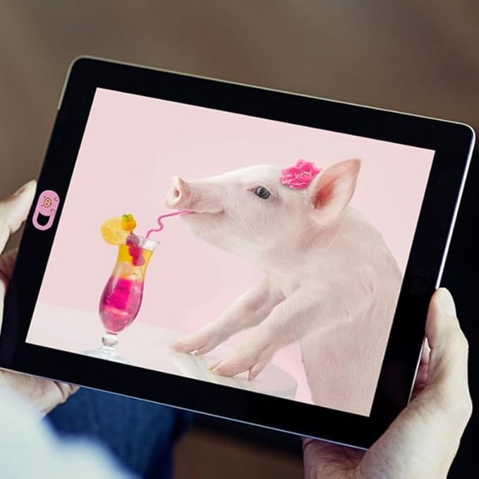 ARTIBETTER Privacy Protection Cover 3-Pack Cute Pink Pig Camera Privacy Covers for Laptops Pro Air Pc Webcam Slide to Open and Close Laptop Accessories