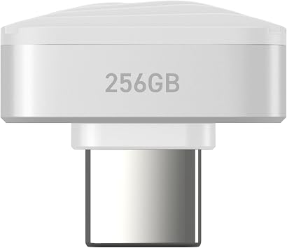 SUNEAST Portable SSD Nano – 256GB, Ultra-Compact USB-C 3.2, External Solid State Drive | Read up to 450 MB/s, Write up to 400 MB/s, exFAT, 2.8 g, Works with iOS, Windows, macOS, Linux, Android