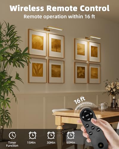 EZVALO Picture Light for Wall, 4800mAh Rechargeable Wireless Remote, 16‘’ Dimmable Magnetic LED Art Display Light with 3 Color Temperatures, for Gallery, Living Room, Bedroom, Hallway (Gold)