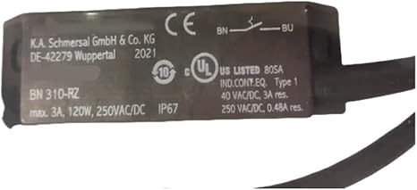 Sensor BN310-RZ