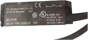 Sensor BN310-RZ