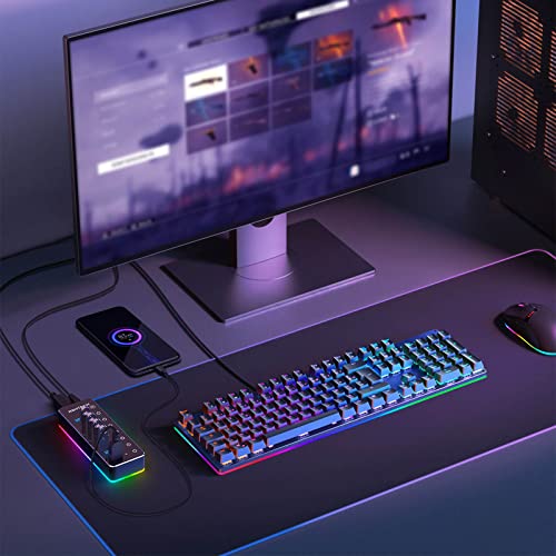 RSHTECH RGB USB Hub, USB C/USB 3.0 to 7-Port Powered USB Hub, RSH-518R