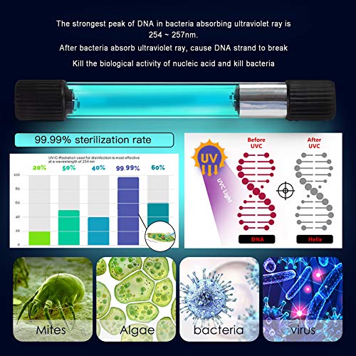 Aquarium Clean Light，11W Submersible Light with Test Card,Aquarium Water Clean Green Clear Waterproof Clean Lamp for for Sump Pond Filter Tank (11W)