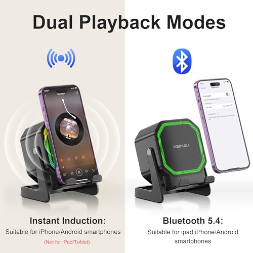 Passau Wireless Induction Bluetooth Speaker with Phone Stand RGB Light